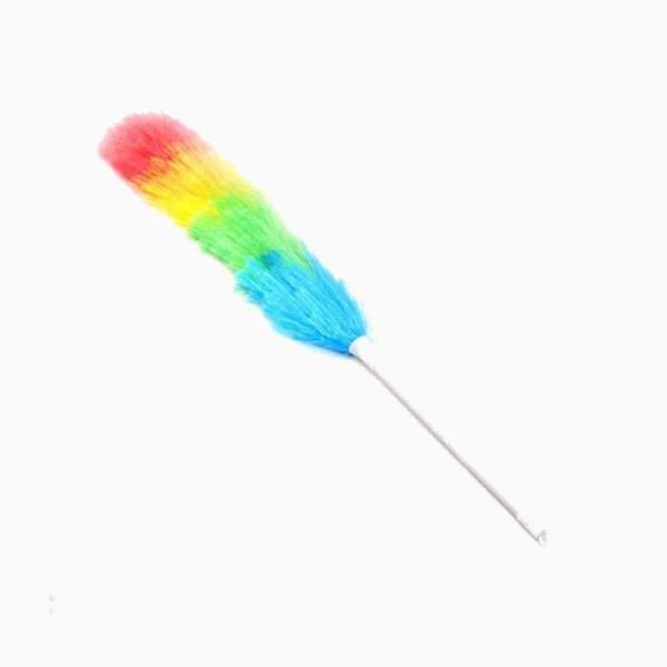 feather-duster